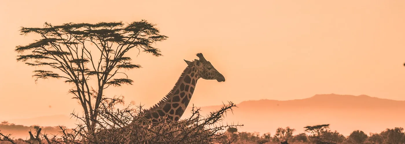 Ethiopia