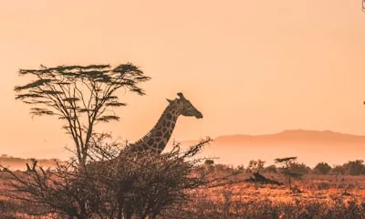 Ethiopia