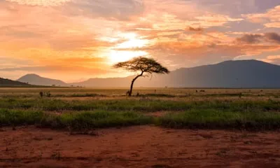 Kenya
