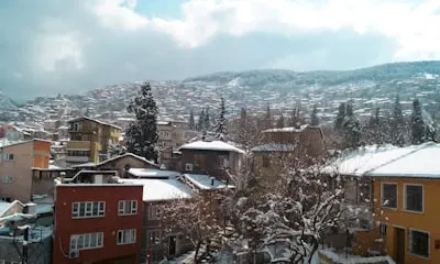 Bursa