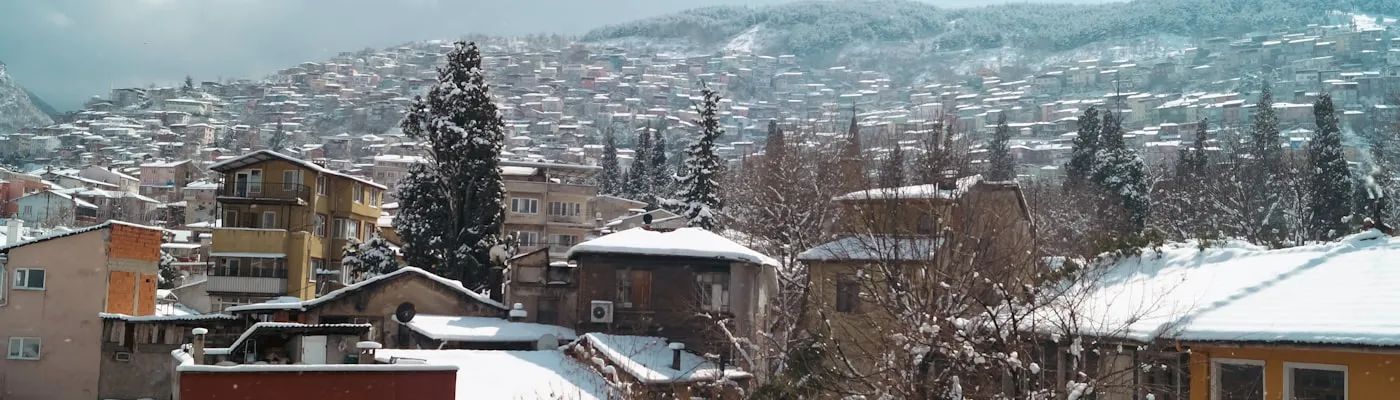 Bursa